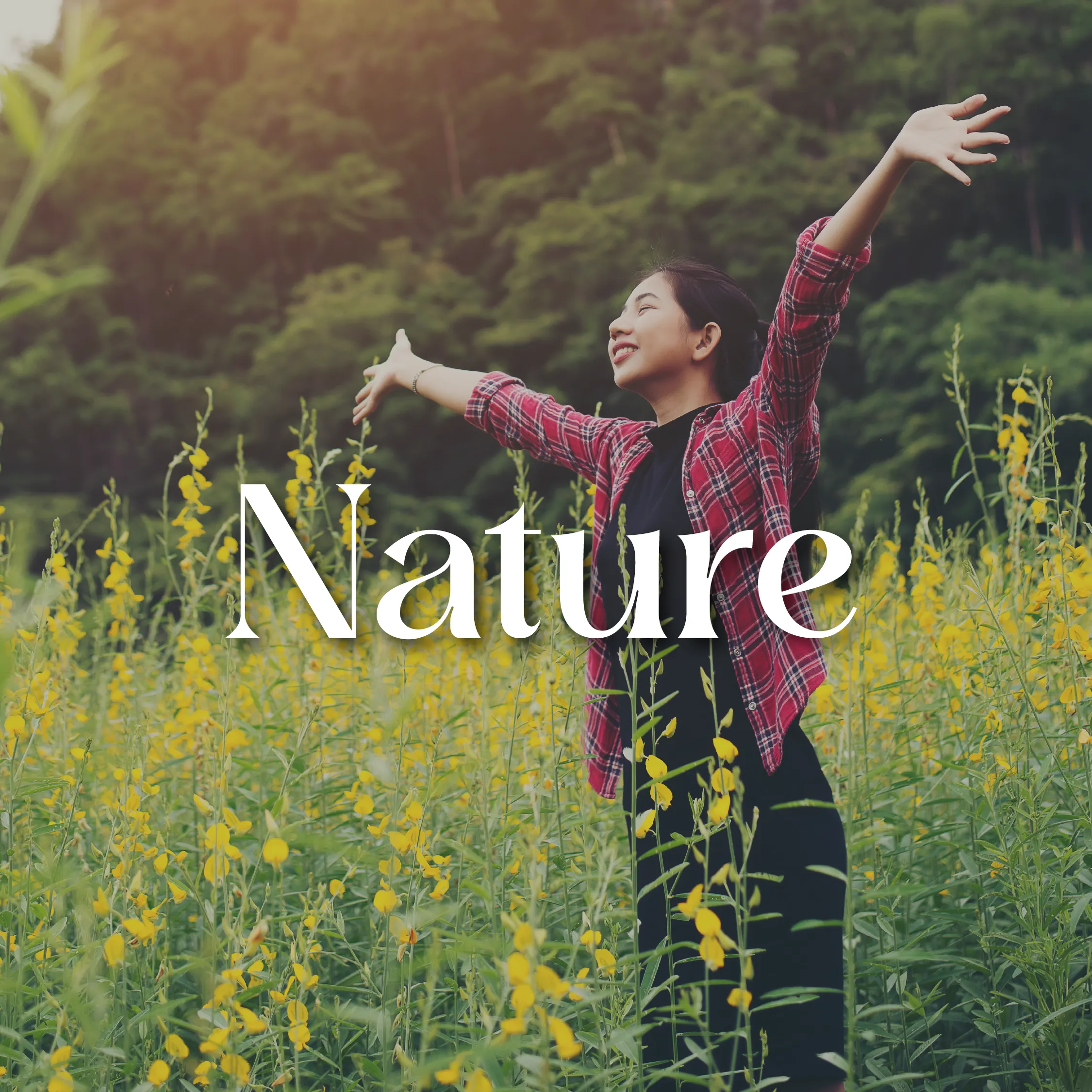 Nature surrounding Ara Grove