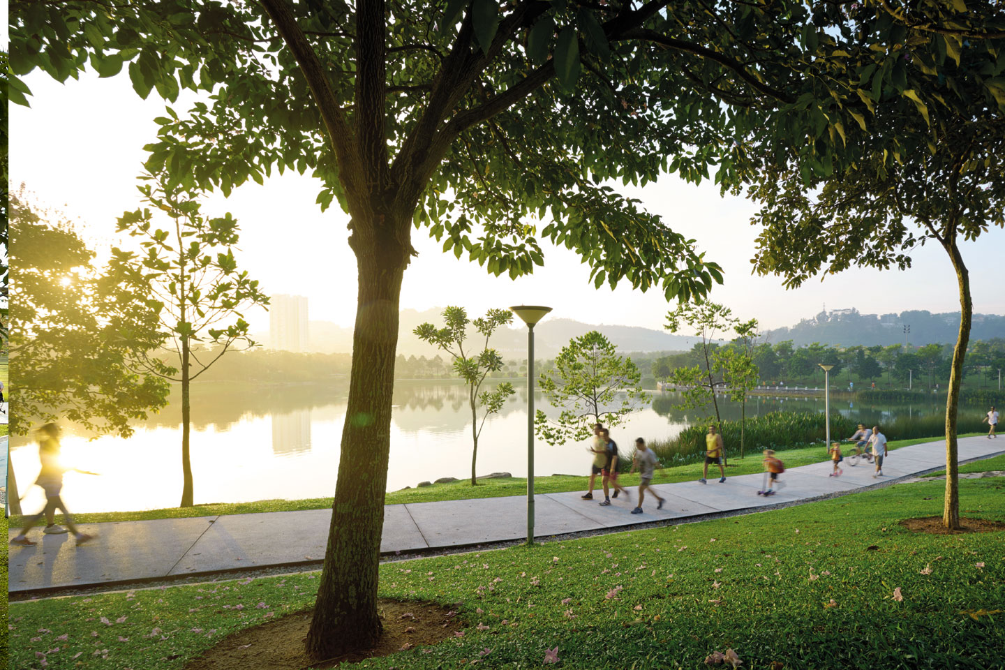 Linear park at Ara Grove